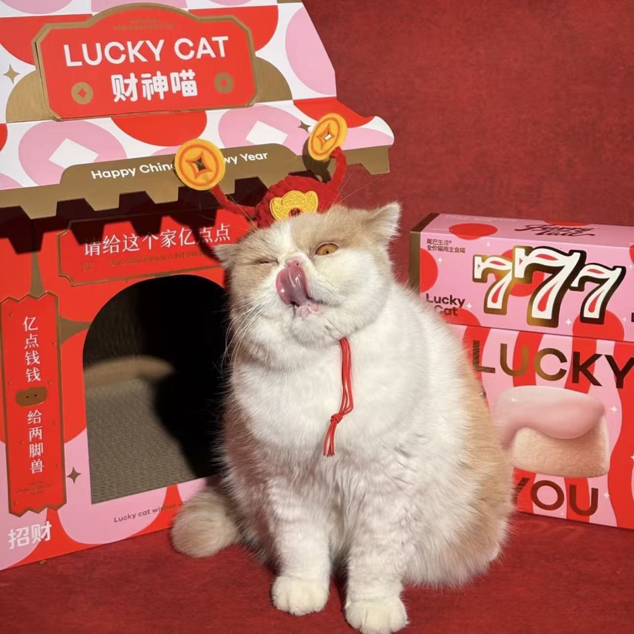 FurryTail Lunar New Year Gift Box