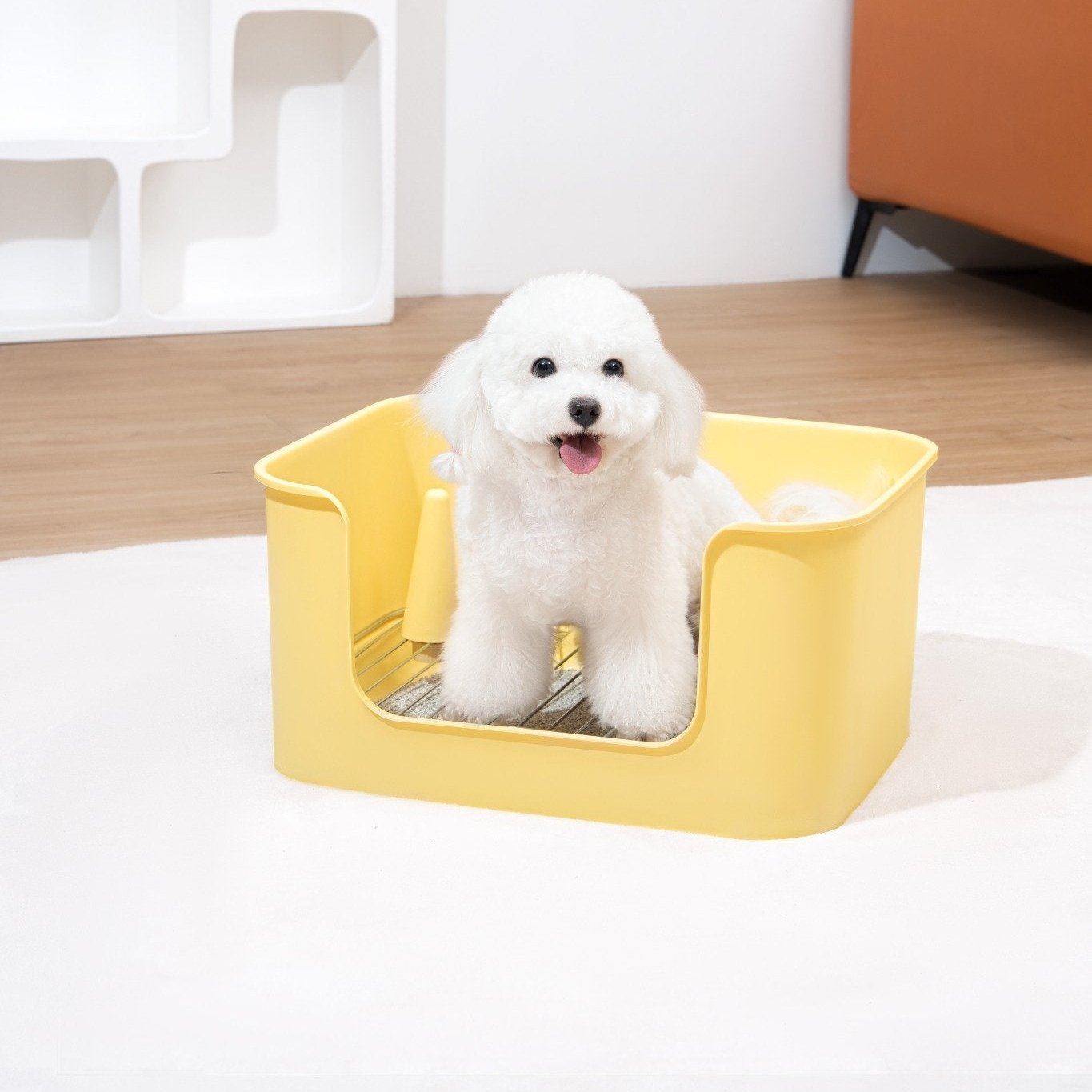 Dog Litter Box - MangoPets