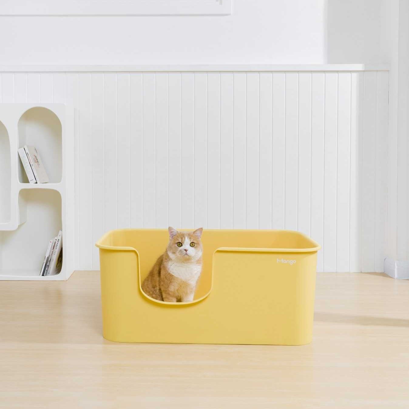 Z Butter Box XL-sized - MangoPets