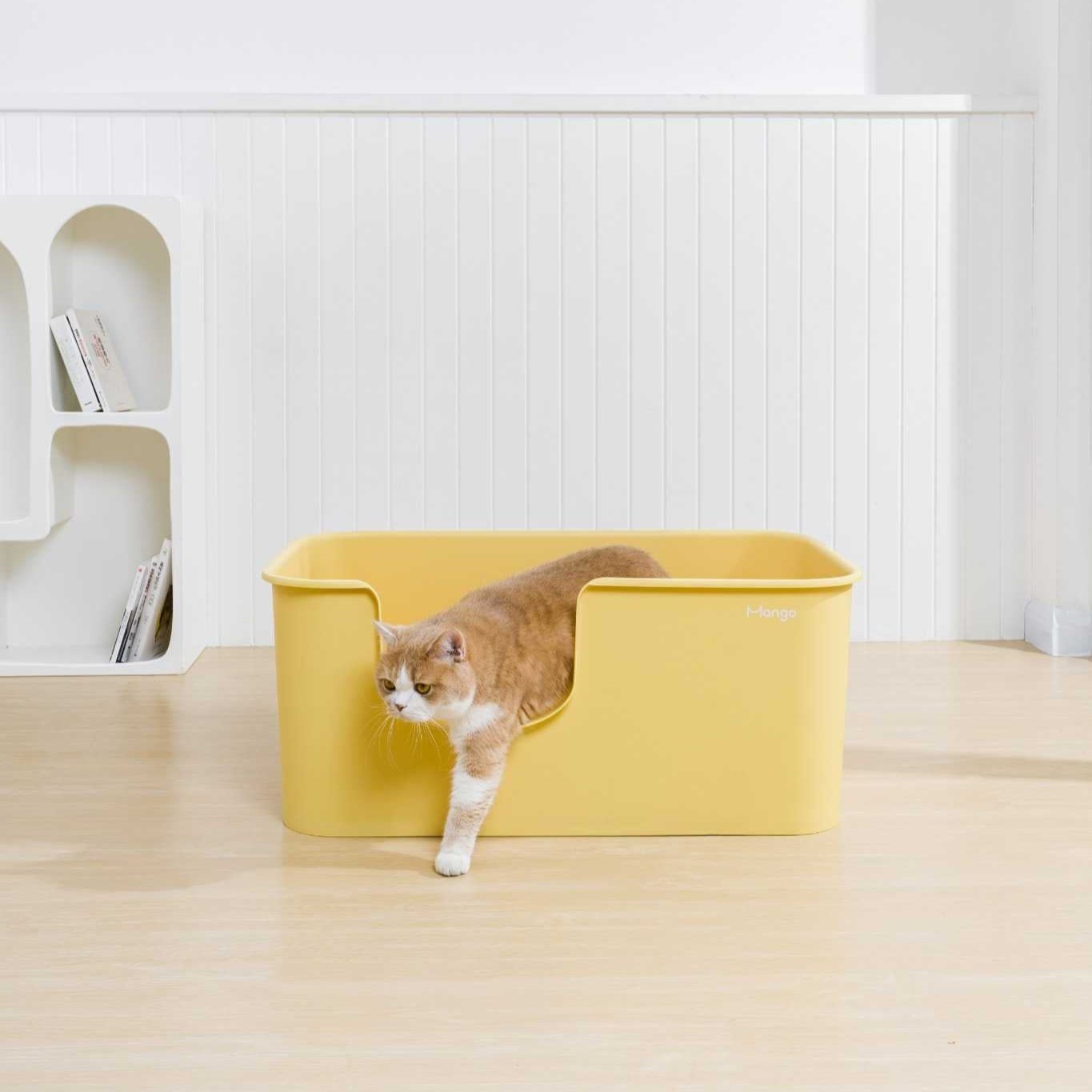 Z Butter Box XL-sized - MangoPets