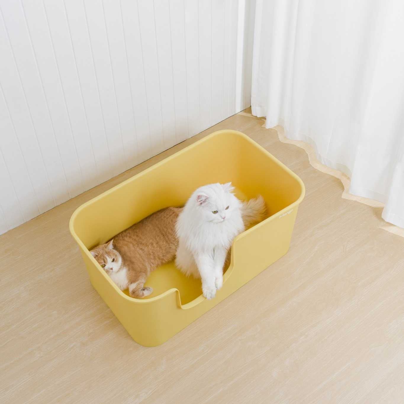 Z Butter Box XL-sized - MangoPets