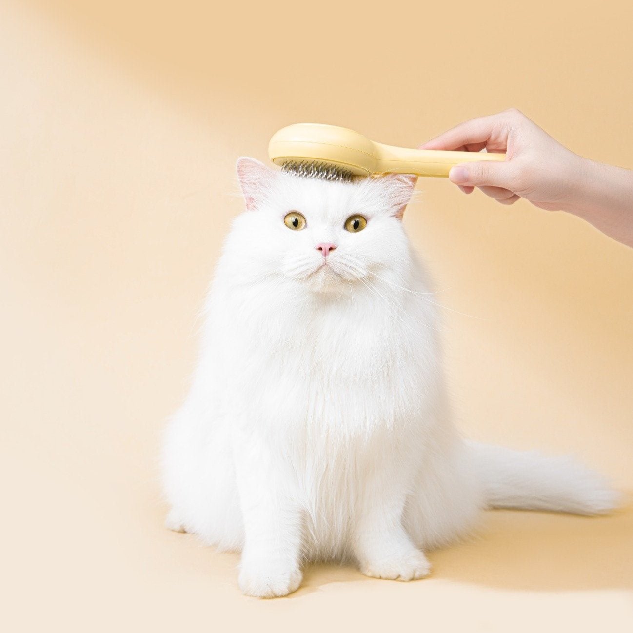 Cat Press Comb - MangoPets