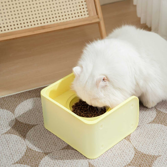 Square Dining Table - MangoPets