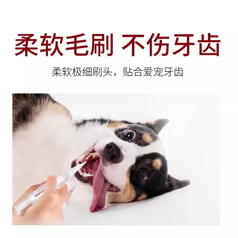 KOJIMA Pet Teeth Cleaning & Spa Pen Set 2pcs | Tartar Remover for Cats & Dogs