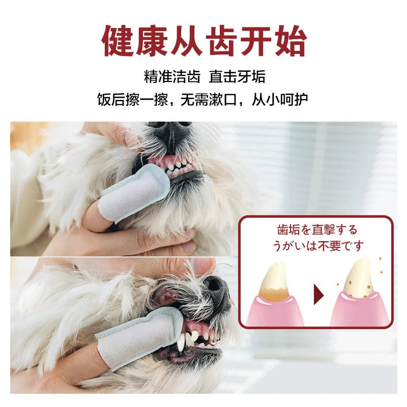 KOJIMA Dental Finger Wipes for Pets 50pcs