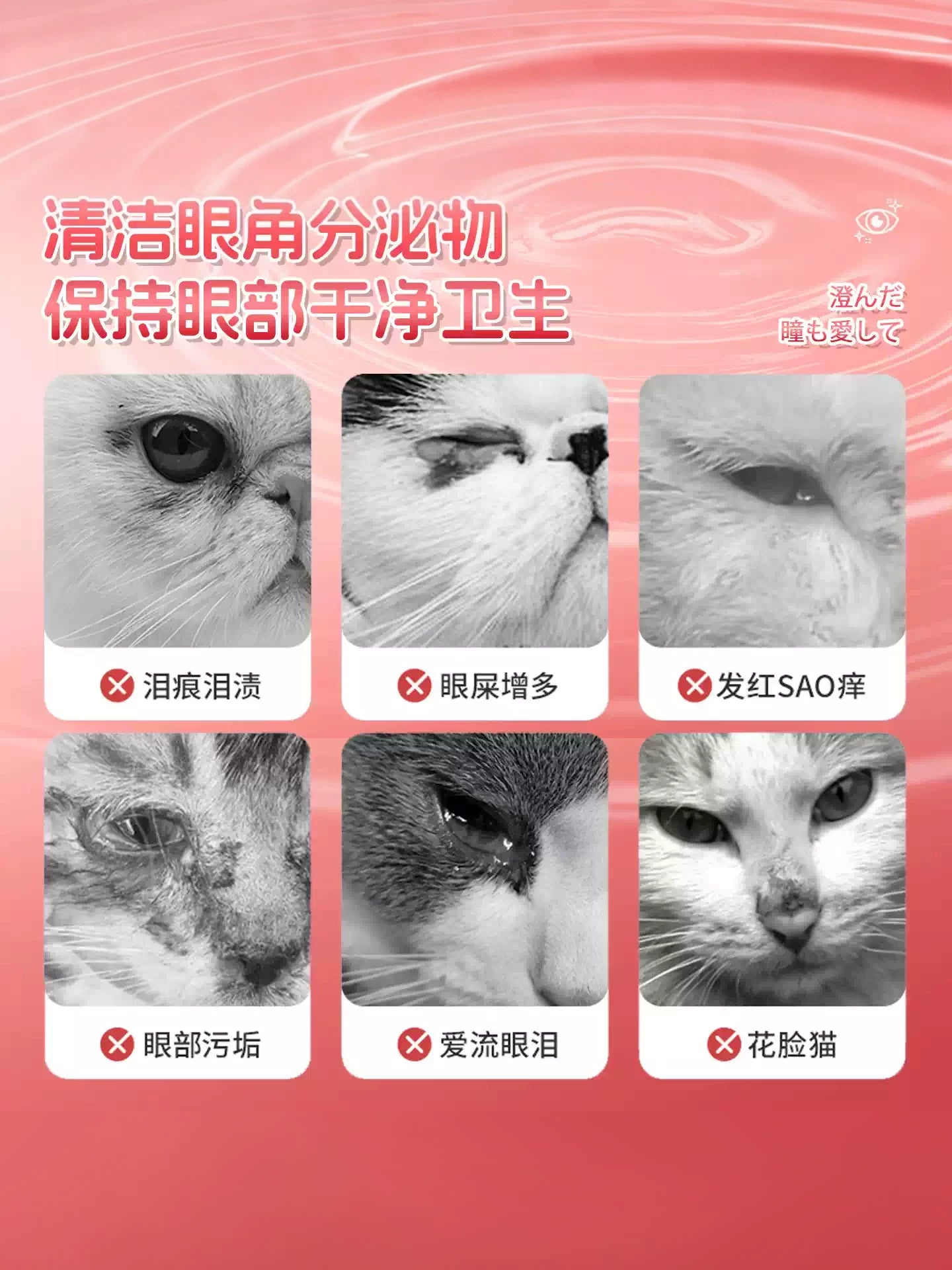 KOJIMA Tear Stain Cleaning Wipes for Pets 120pcs