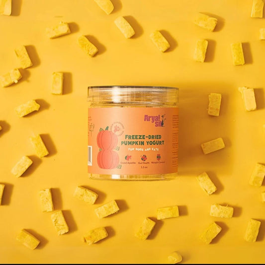 Freeze-Dried Pumpkin Yogurt