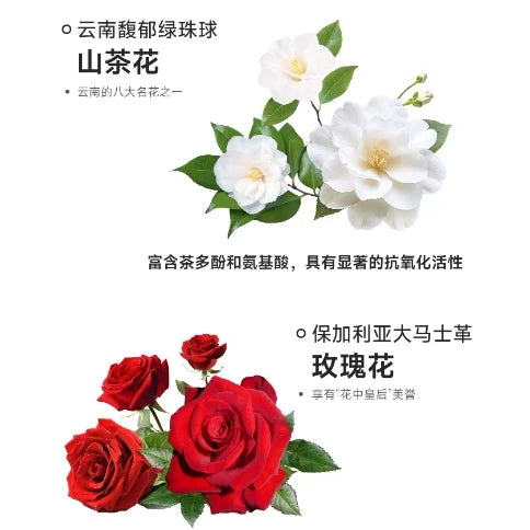 Yee Pet Snacks Camellia Flower Cake Freeze-Dried 60g