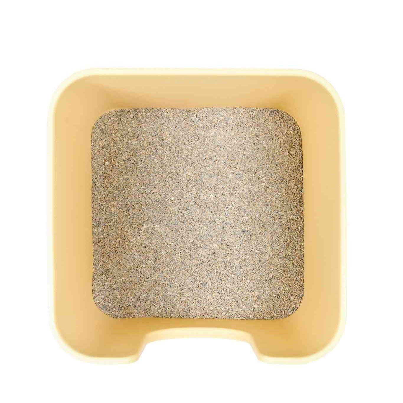 Z Mango Cube XL-sized - MangoPets