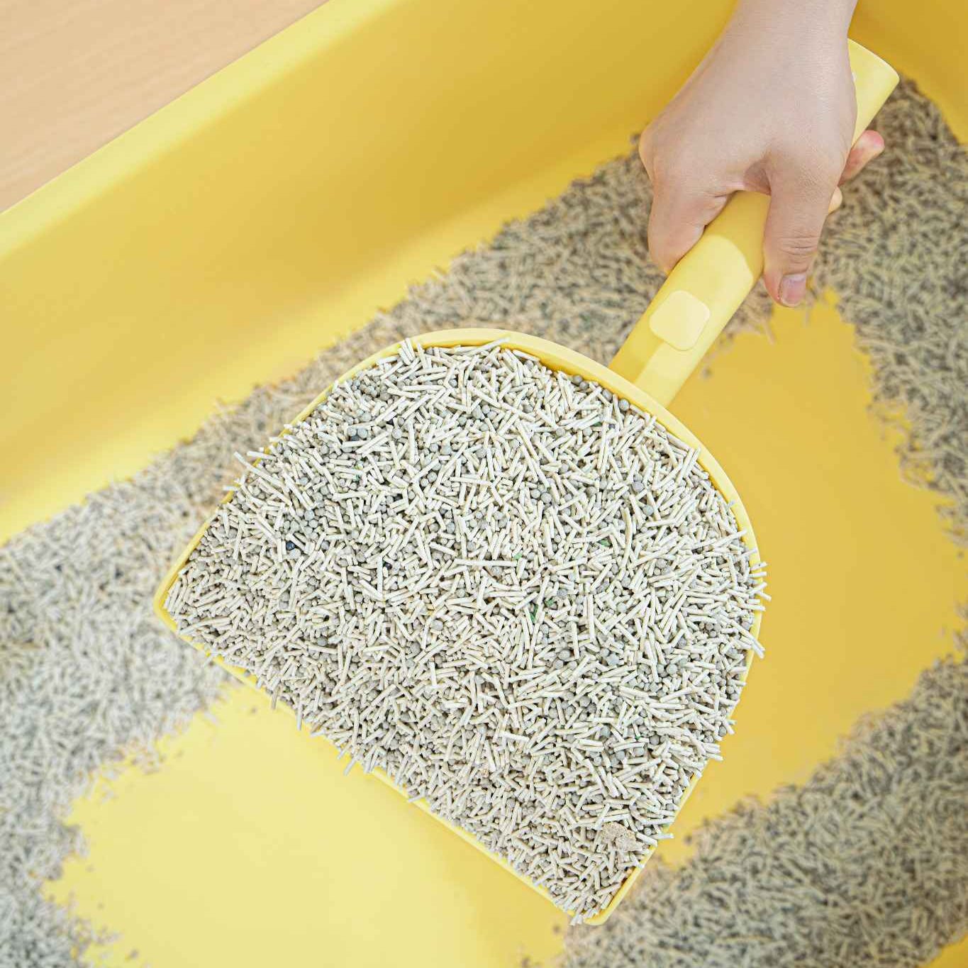 Cat Litter Changing Scoop - MangoPets