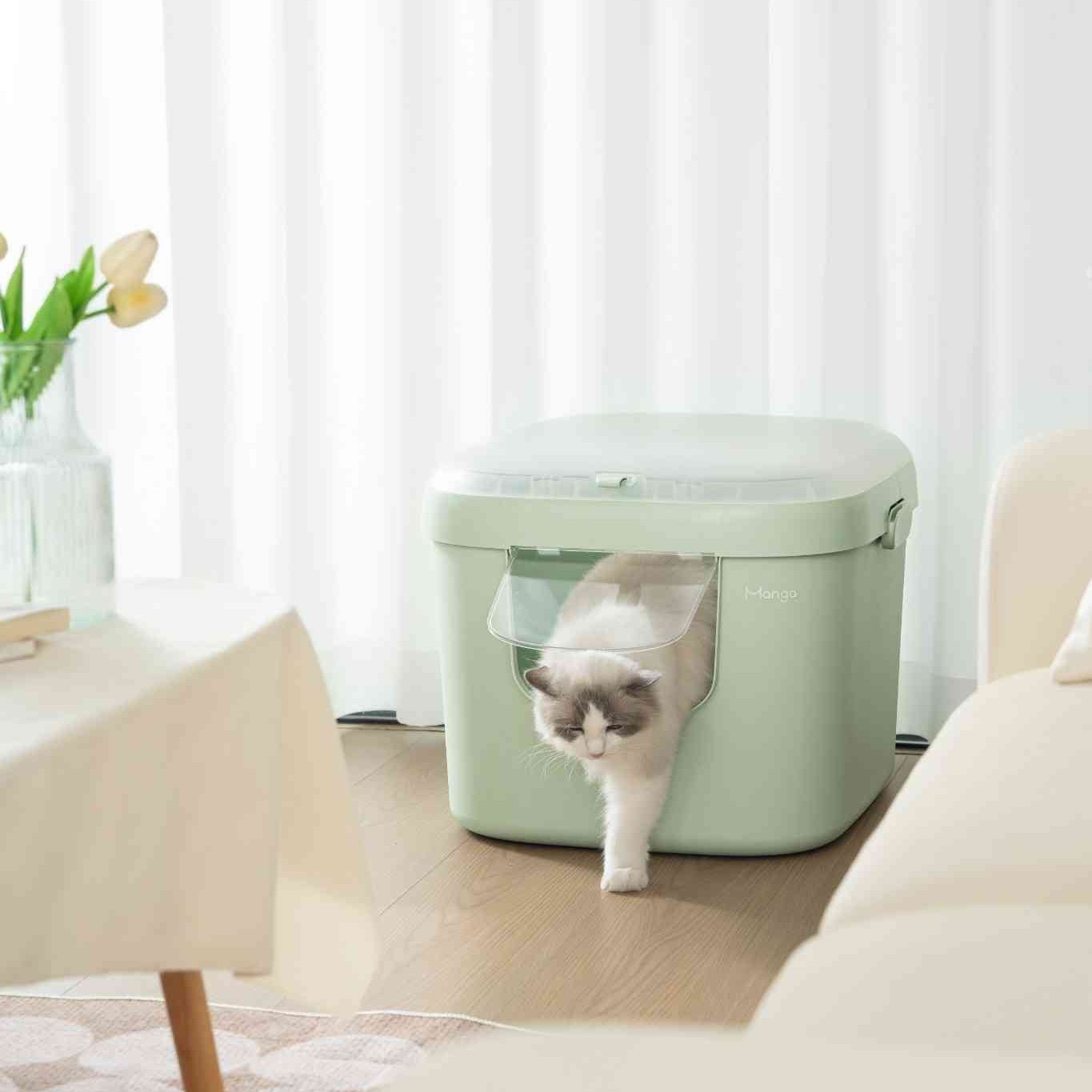 Z Mango Cube L-sized - MangoPets