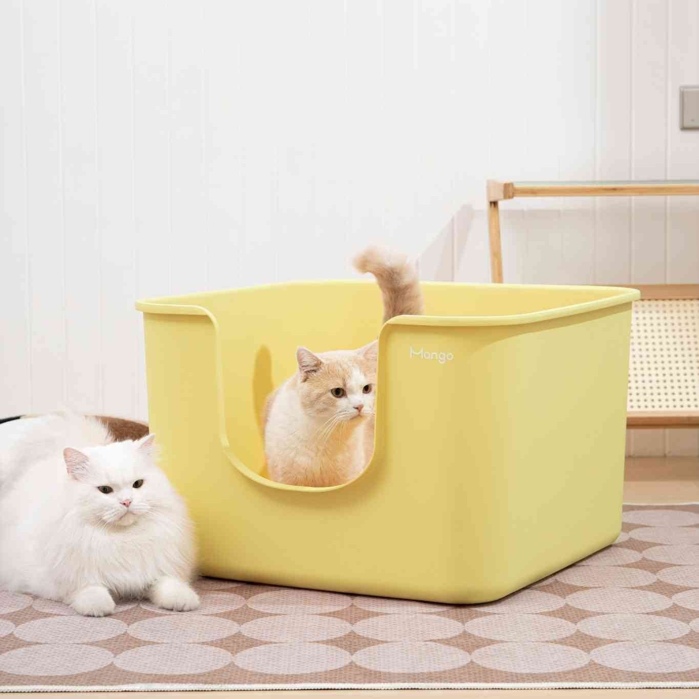 Z Mango Cube XL-sized - MangoPets