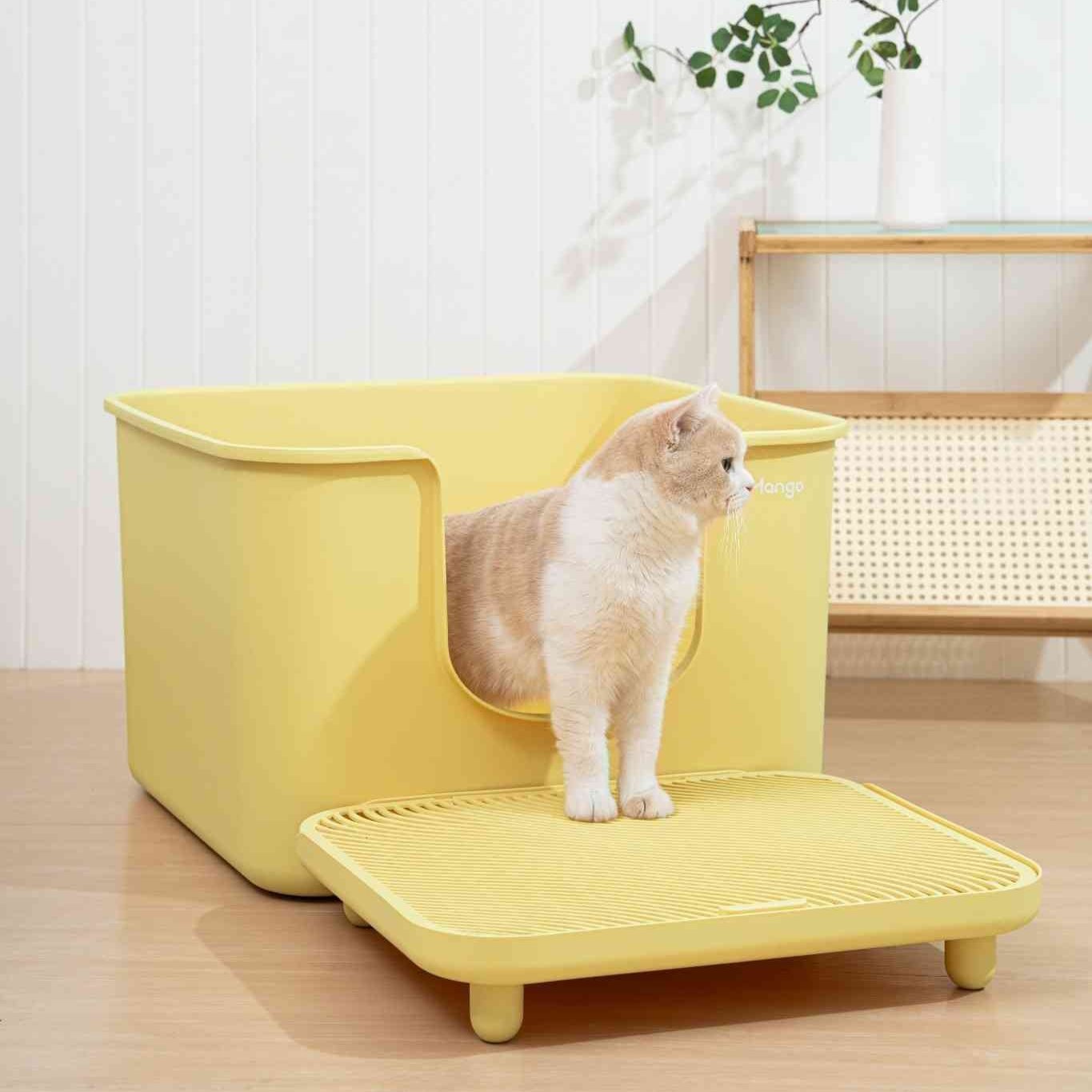 Z Mango Cube XL-sized - MangoPets