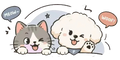 purrpet_logo