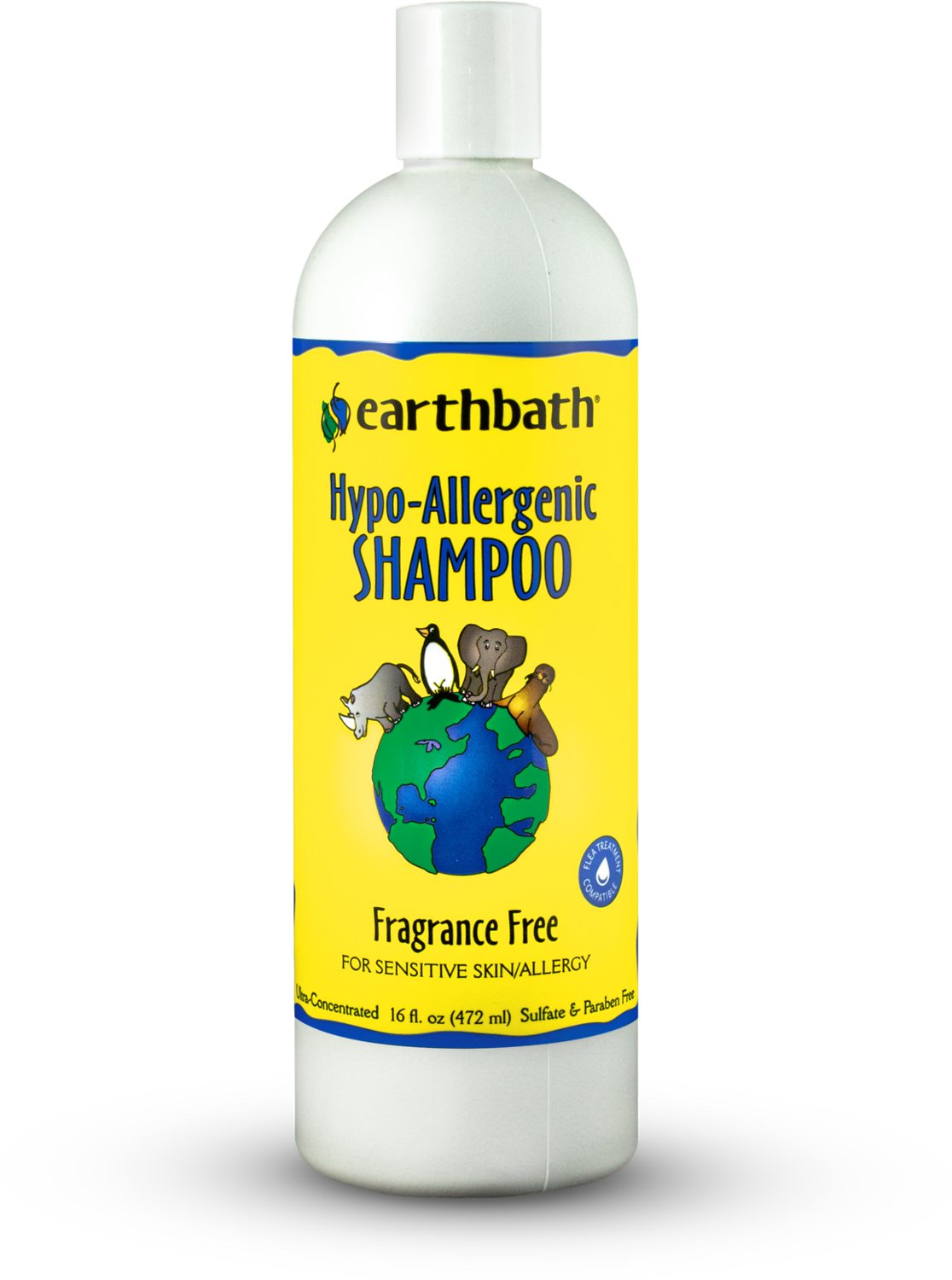 Earthbath Oatmeal & Aloe Dog & Cat Shampoo 16oz bottle