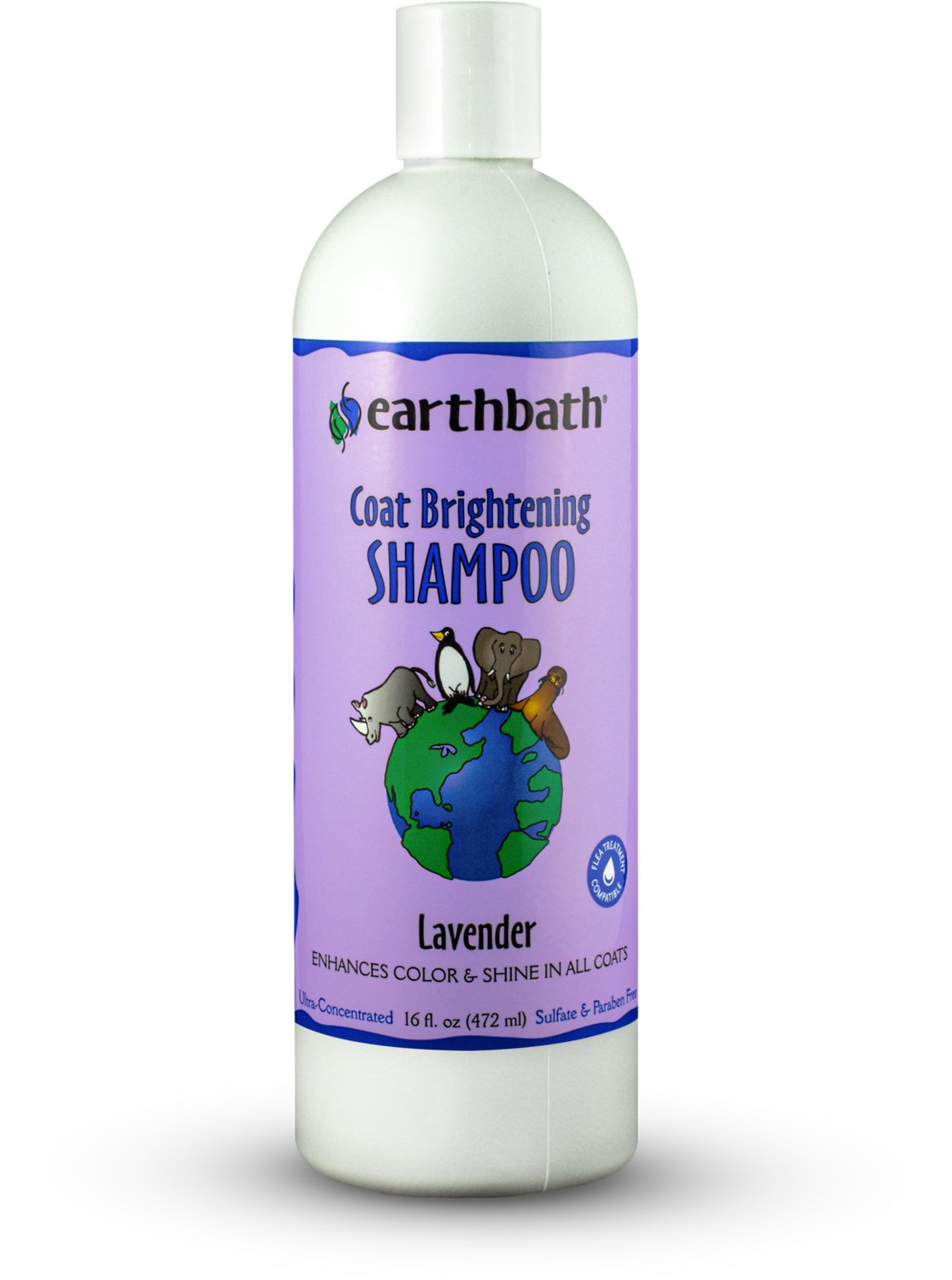 Earthbath Oatmeal & Aloe Dog & Cat Shampoo 16oz bottle