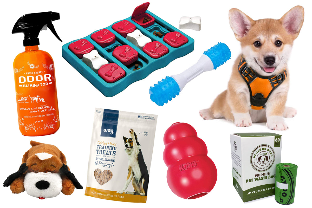 dog supplies