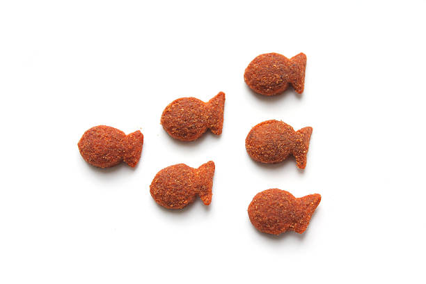 Cat Treats
