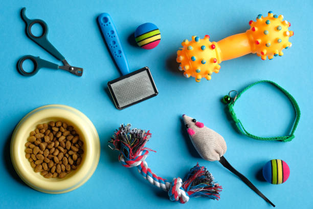 Dog Supplies
