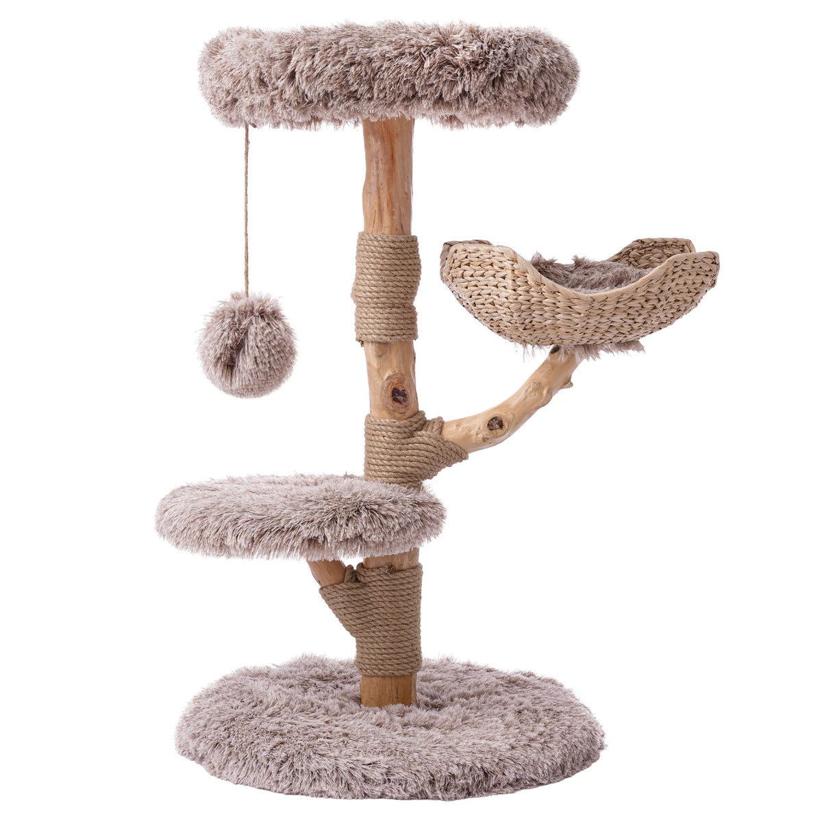 Treetop Nest