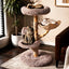 Treetop Nest
