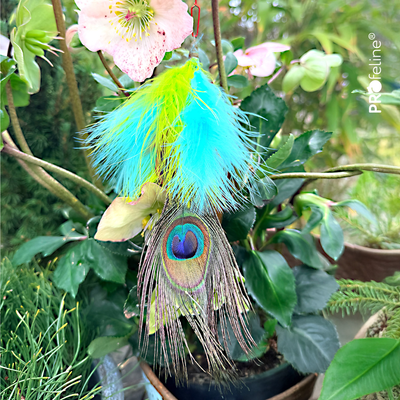 PROFELINE PEACOCK EYE REFILL