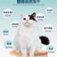 Pet-Ever Freeze Dried 生生不息主食冻干400g