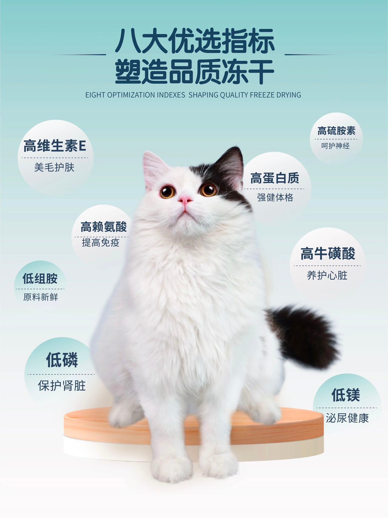 Pet-Ever Freeze Dried 生生不息主食冻干400g