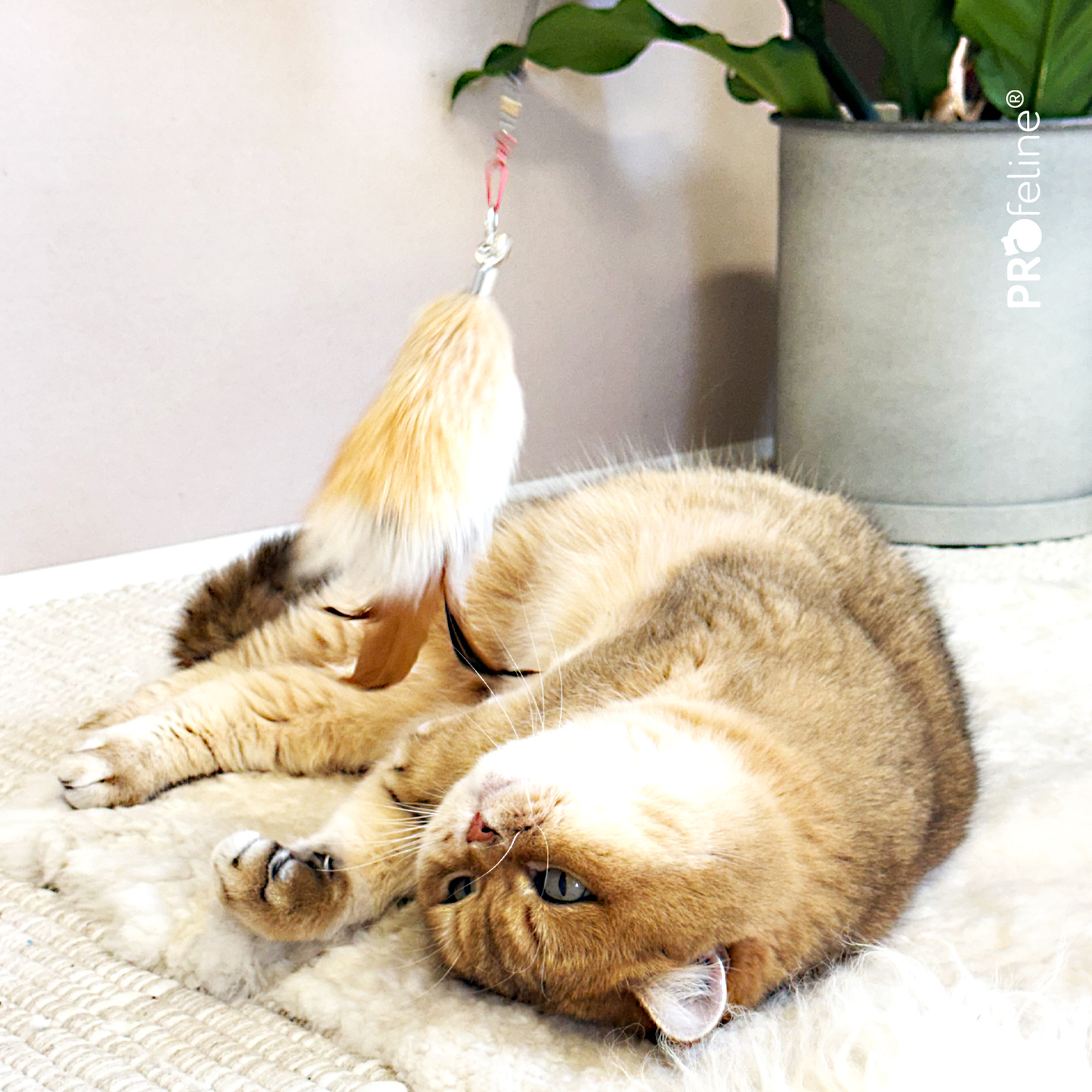 PROFELINE FLUFFY NUB REFILL