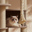 Sopapets | Forest Climb Cat Tree