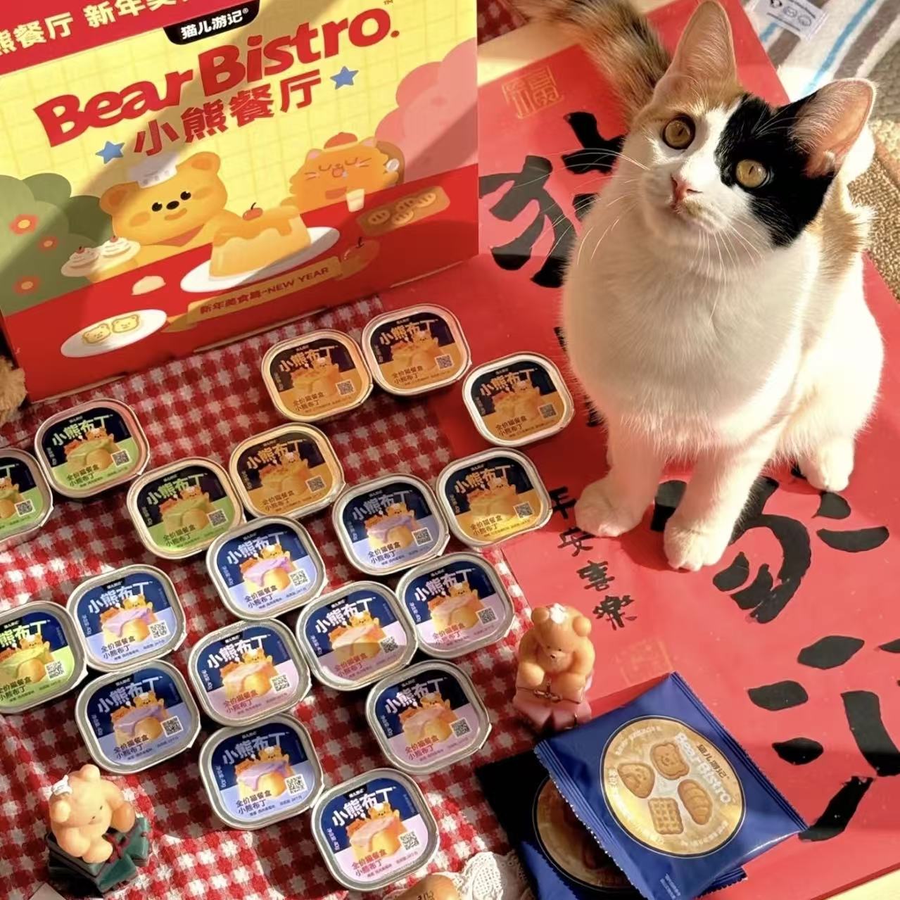 The Cat's Travel Bear Gift Box
