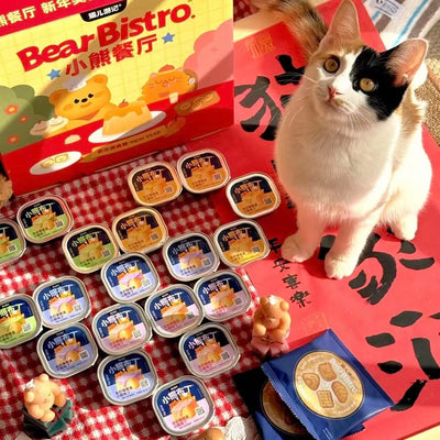 The Cat's Travel Bear Gift Box