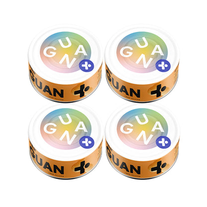 GUÀN 4 Season Series Complete Wet Food/85g