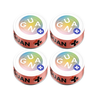 GUÀN 4 Season Series Complete Wet Food/85g