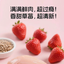 Ranova Chicken & Strawberry Freeze dried Cat Food