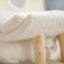 Sopapets | Regal Chaise Cat Tree