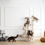 Sopapets | Forest Climb Cat Tree