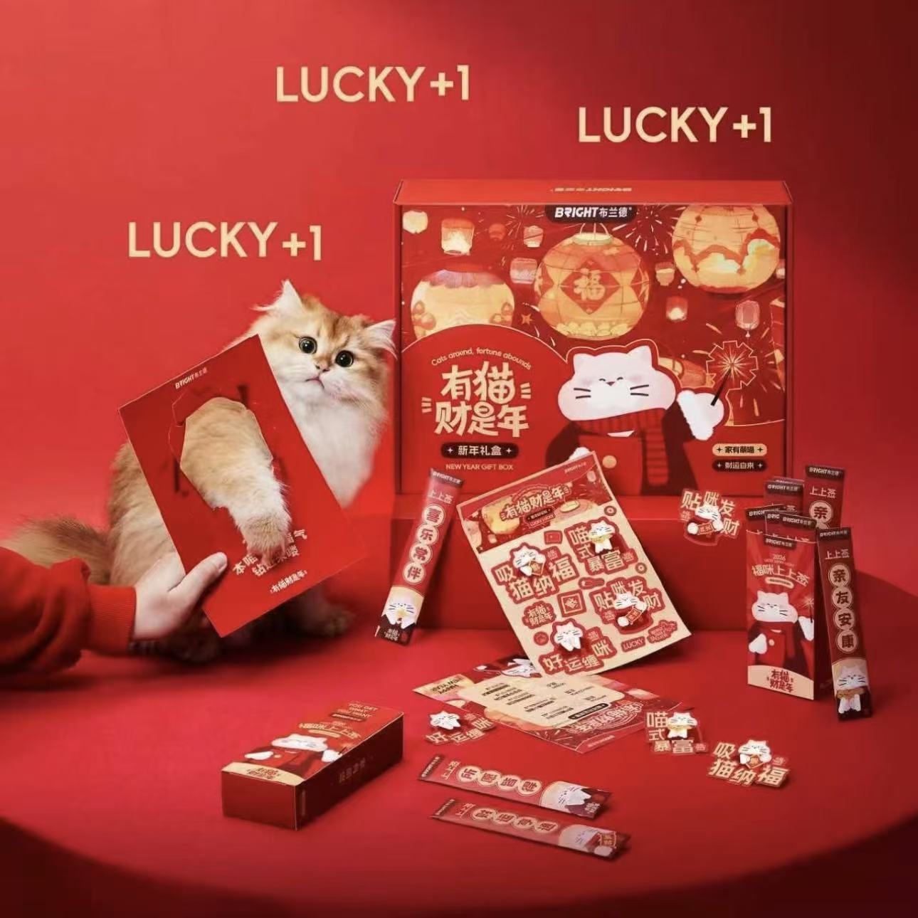 Bright New Year Gift Box