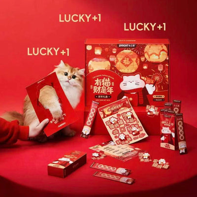 Bright New Year Gift Box