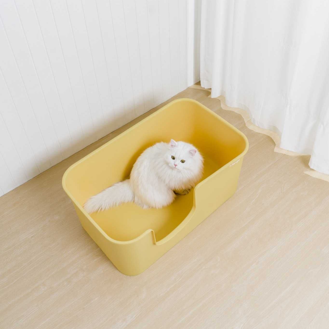 Z Butter Box XL-sized - MangoPets