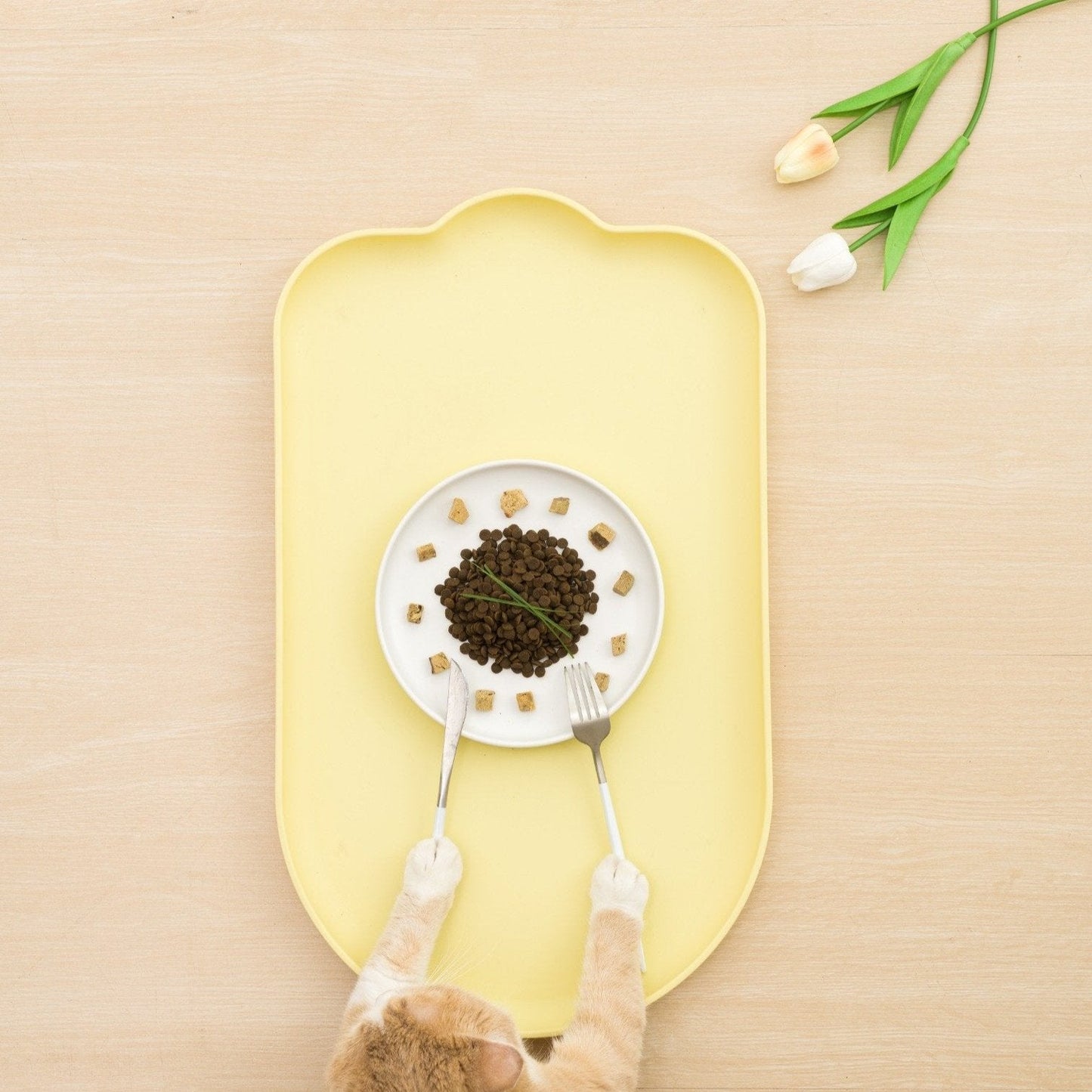 Food Mat - MangoPets