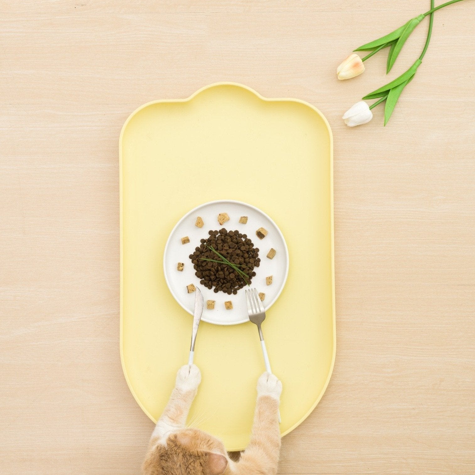 Food Mat - MangoPets