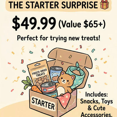 The Starter Surprise Mystery Box