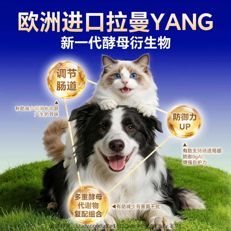 MAG Fresh Breath Green Tea Freeze-Dried Cubes – Dental Treats for Cats & Dogs
