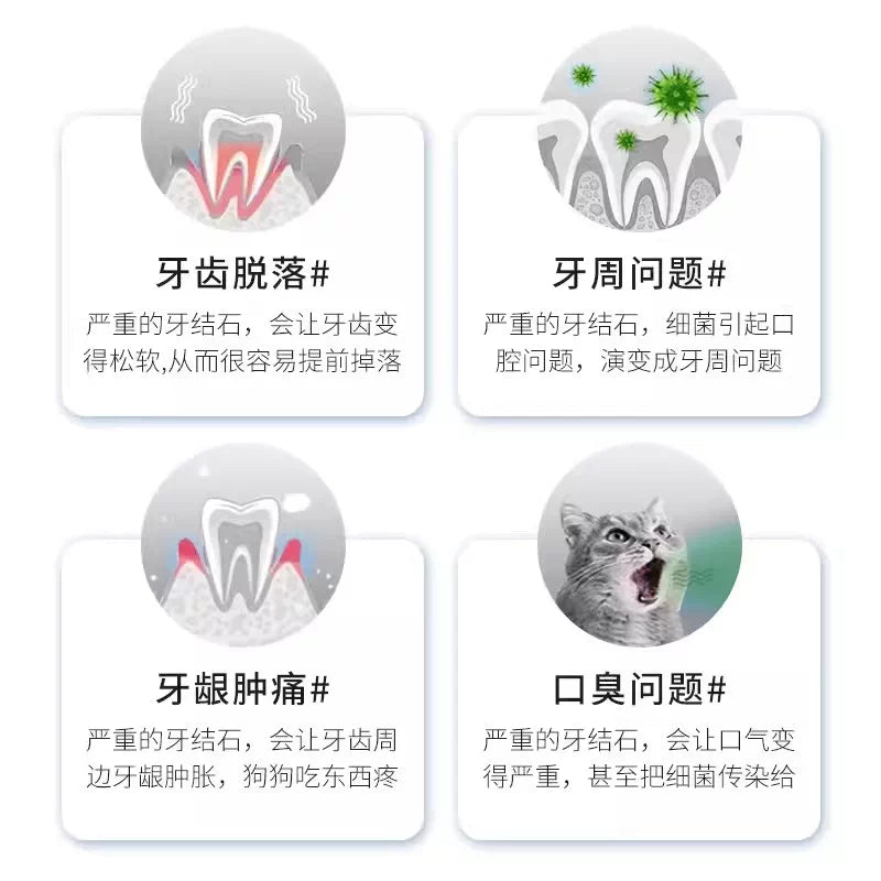 KOJIMA Pet Teeth Cleaning & Spa Pen Set 2pcs | Tartar Remover for Cats & Dogs