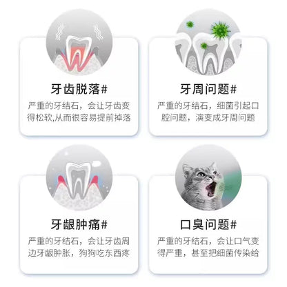 KOJIMA Pet Teeth Cleaning & Spa Pen Set 2pcs | Tartar Remover for Cats & Dogs