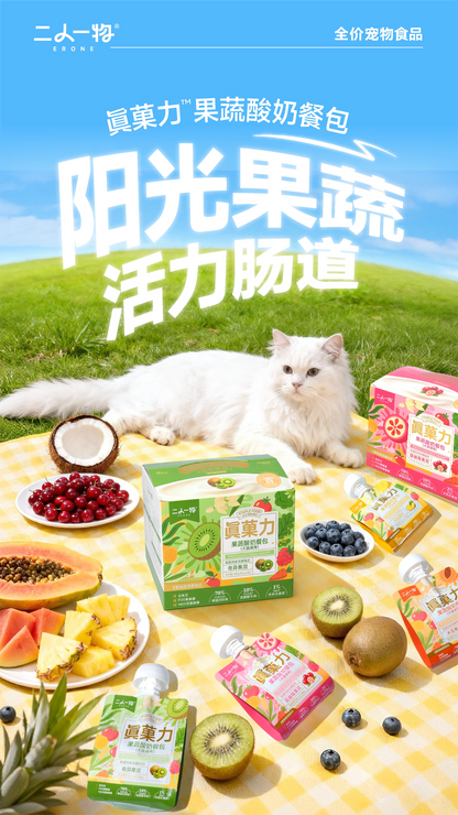 ERONE PET Greek Yogurt & Fruit Chicken Complete Churu