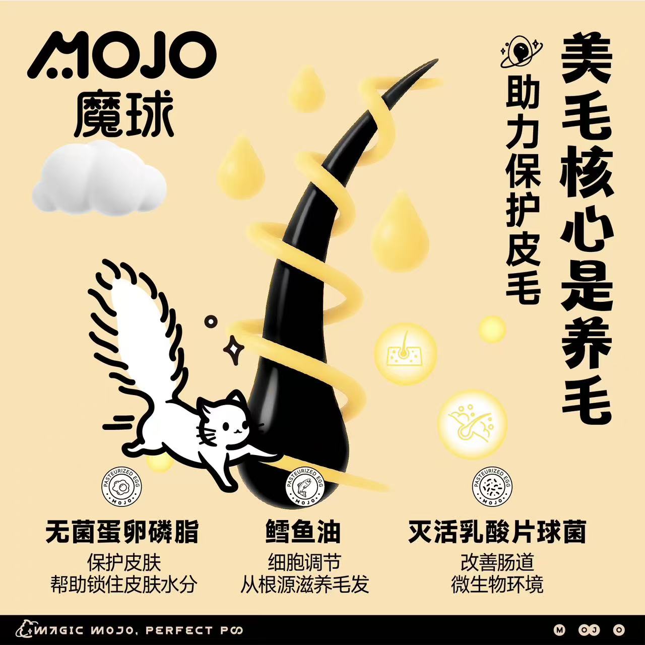 Mojo Magic Perfect Poo Cat Freeze Dried