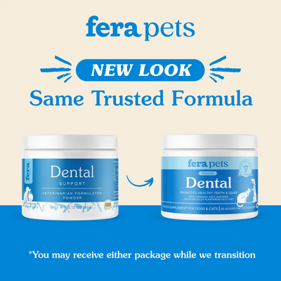 FERA Dental Support