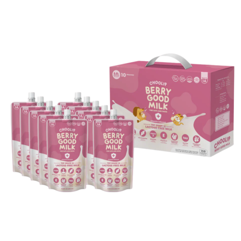 Choolip Berry Good Milk 200ml
